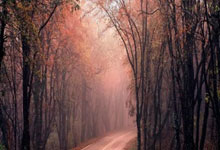 亚博官网：亚残运赛艇：在背向而行的航道上 聚力“艇”过终点线央视体育.