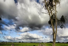 亚博官网：大连英博海发中超主场首秀 6万余名球迷到场助阵.