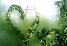 蒋圣龙：战沙特有些优势但红牌改变走向 之后每场要当最后一场踢.