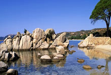 法比安-鲁伊斯在西班牙国家队已36场不败，并列队史第四.